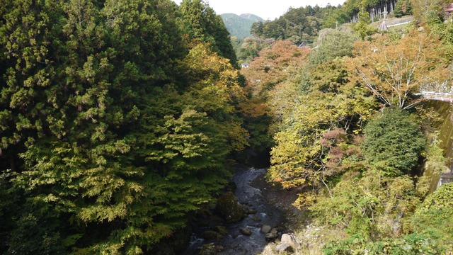 P1070886