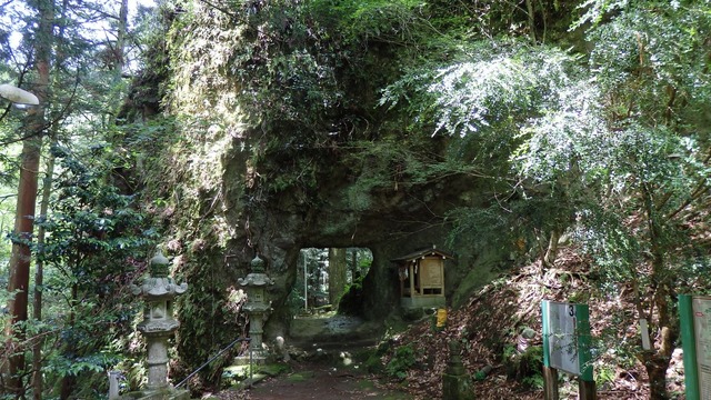 P6200090