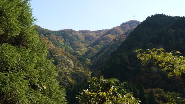 P1050159