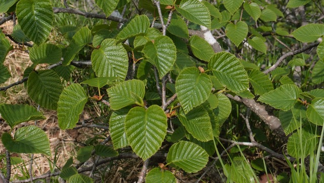 P6110355