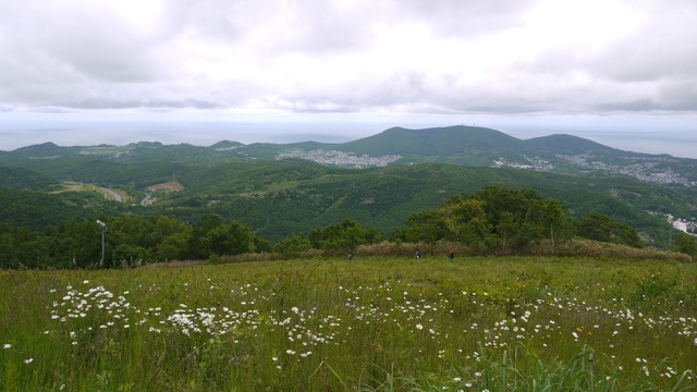 P1050594