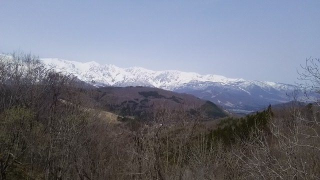 DSC_0008