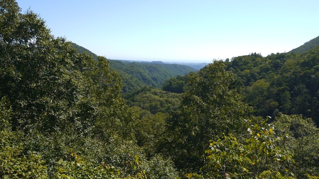 P1070270