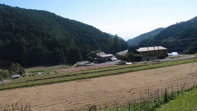 PA150626