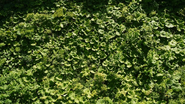 P1050735