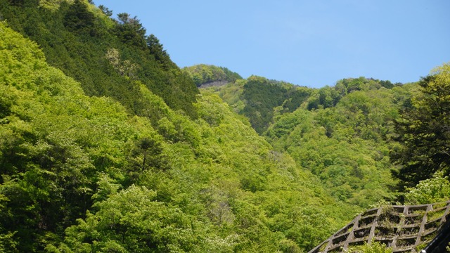 P1080653