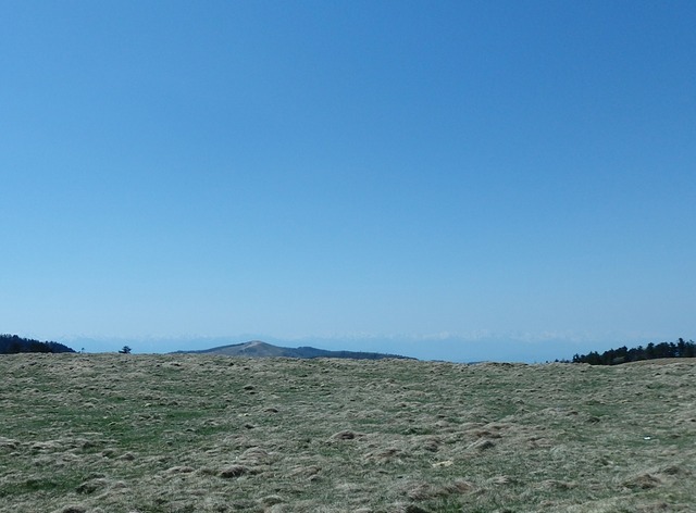 P5200913