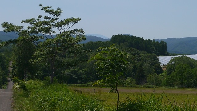 P1060946-2