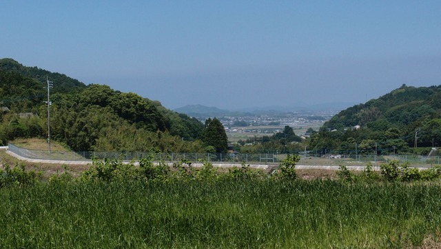 P5291350