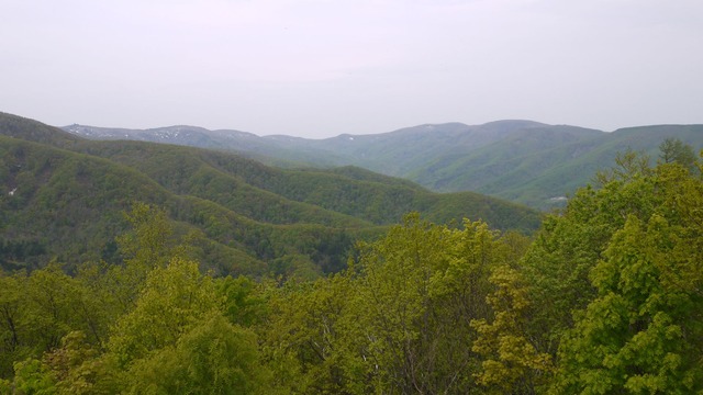 P1060745