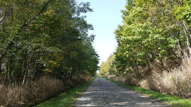 P1060376