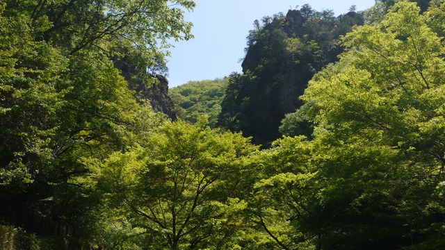 P1080555