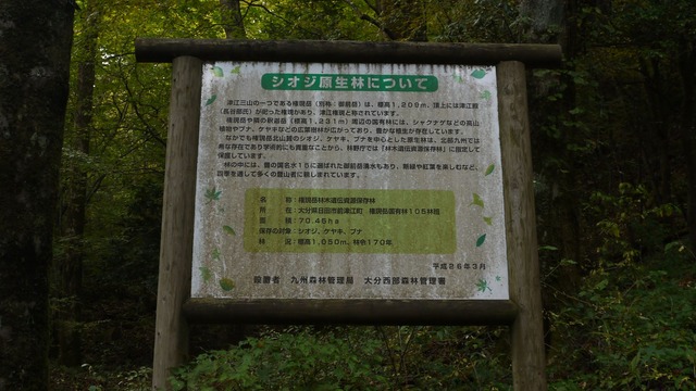 P1050115