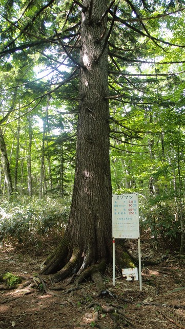 P6110300