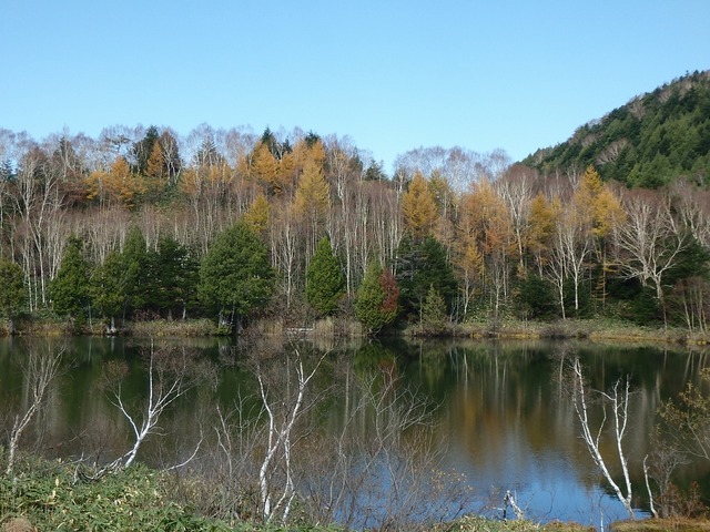 PA300189