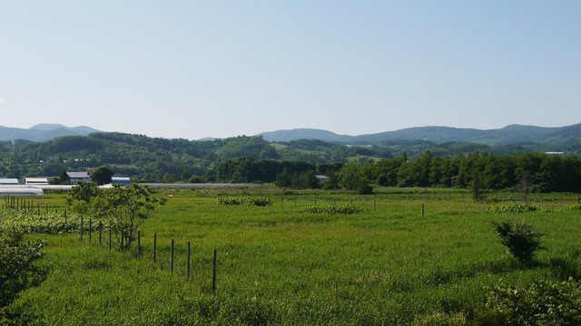 P1050683