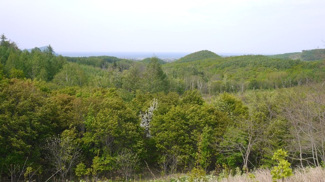 P1060833