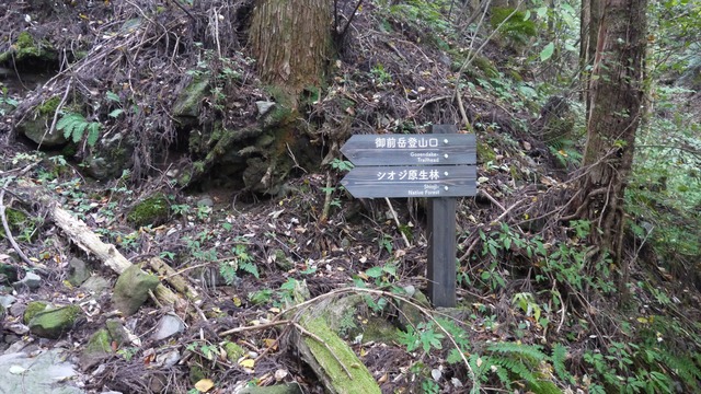P1050105