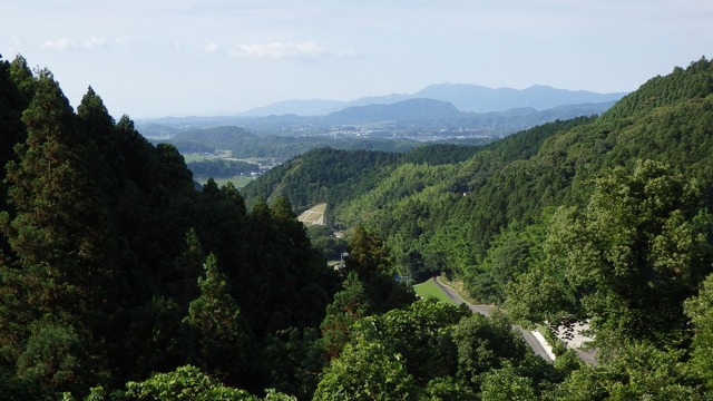 P6200180
