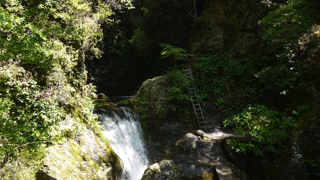 P1080556