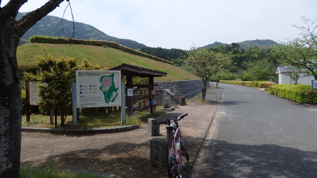 P5020041