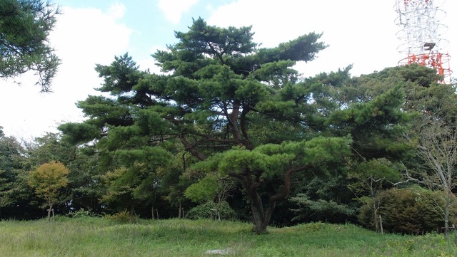P9270327