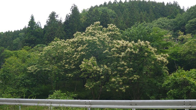 P1080790