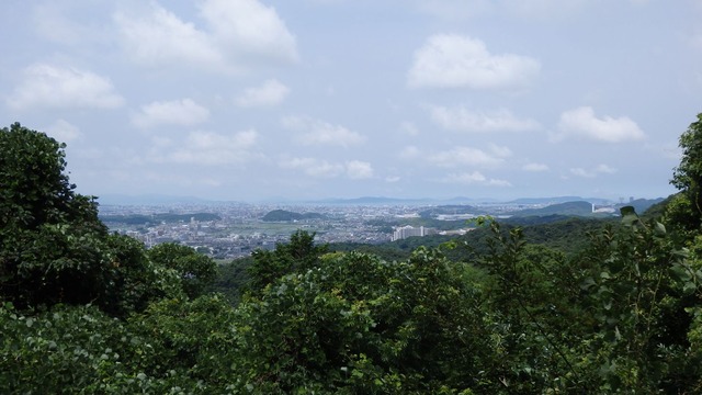 P6280011