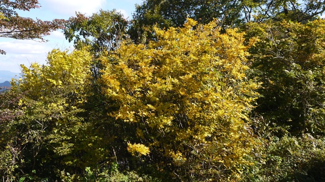 P1050185