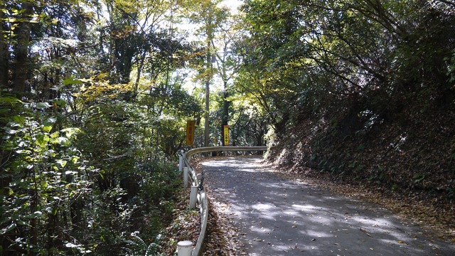 P1080144