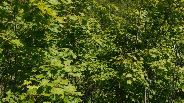 P1050728