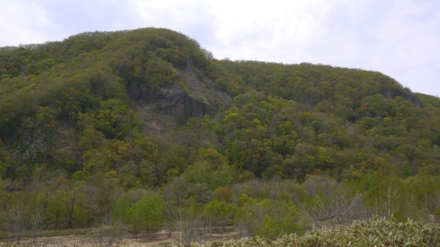 P1060801