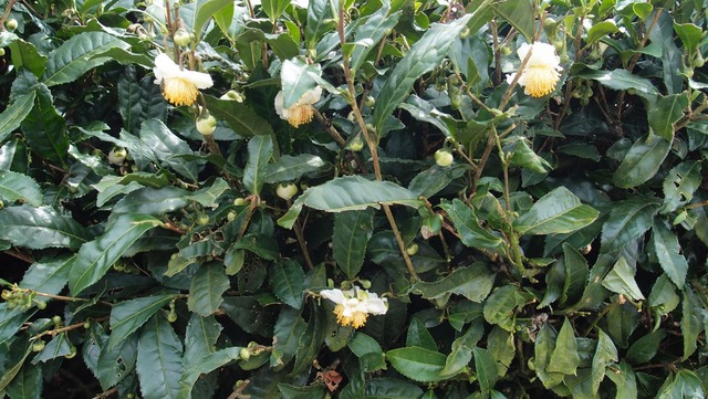 P9210257