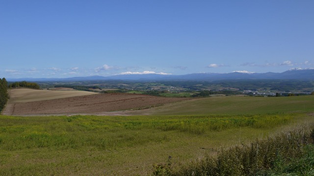P1060423