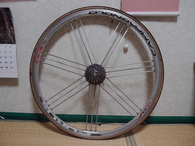 P8100464
