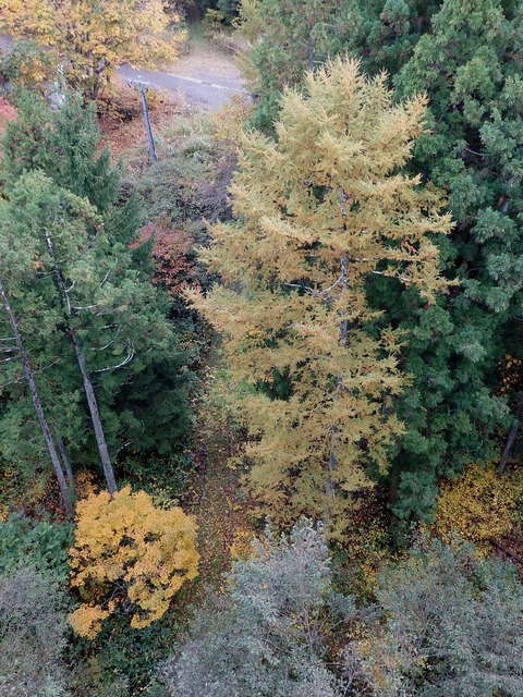 PA300121