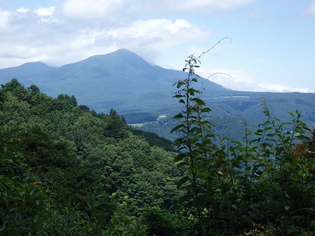 P7180172
