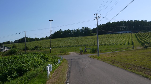 P1070028