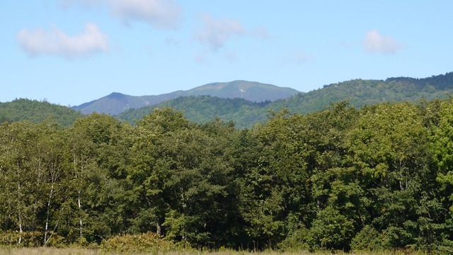 P1060219