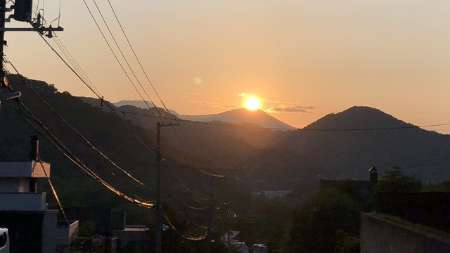 IMG_7225