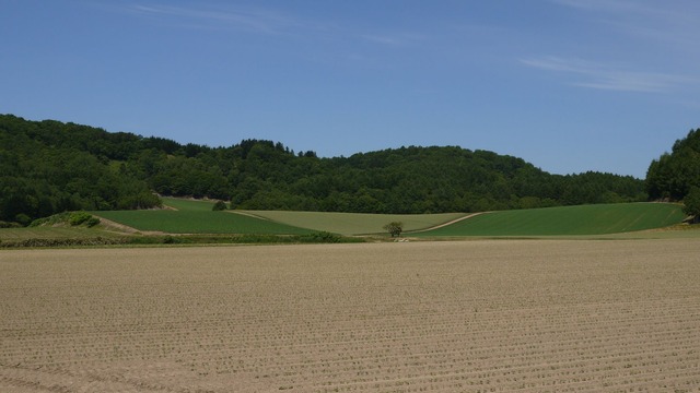 P1050748