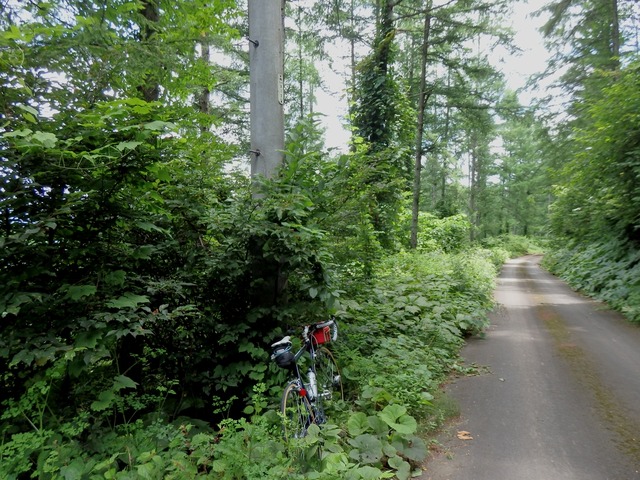 P7230187