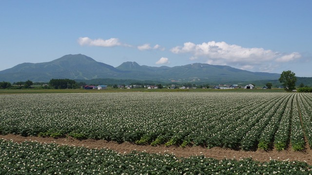 P1050755