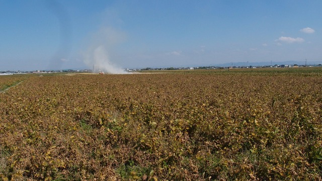 PA150668