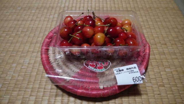 P1070064