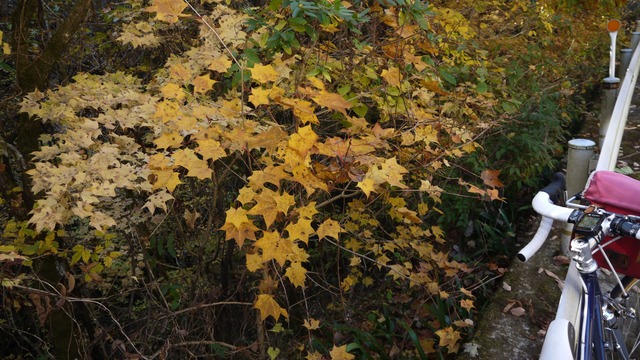 P1080188