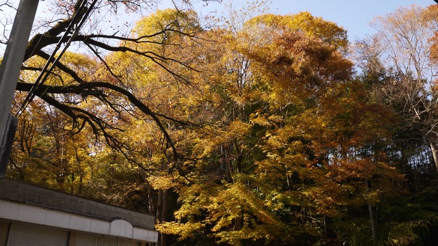 P1080115
