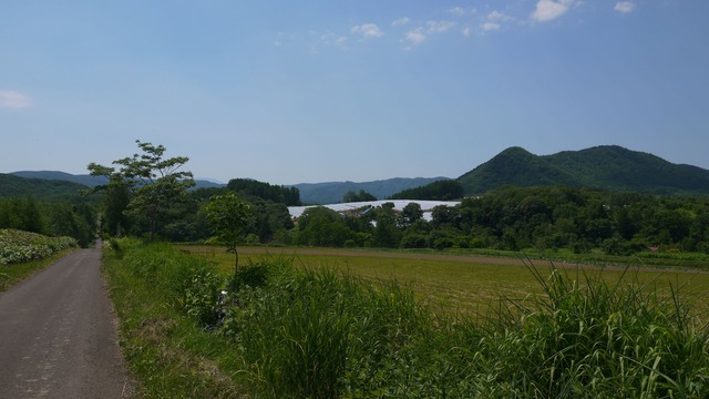 P1060946