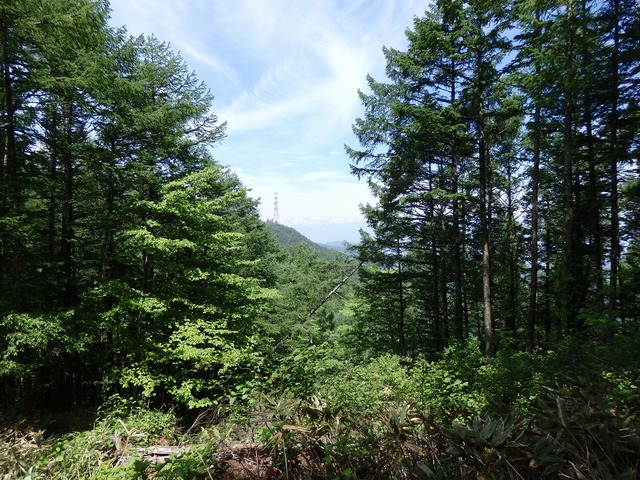 P5290172