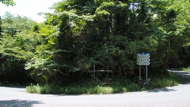 P6040651